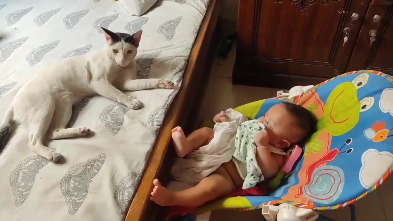 Cat along with family and kid