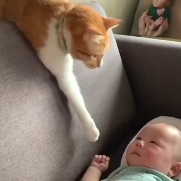Touch da babby