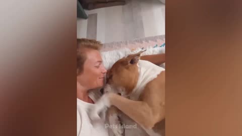 Funniest dogs and cats ever