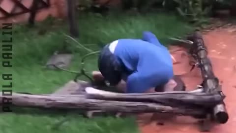 A Cycle Of Fails