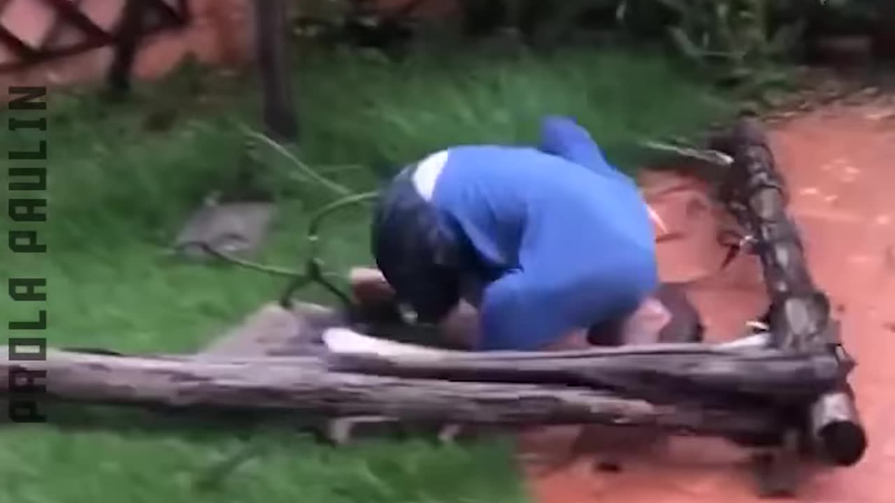 A Cycle Of Fails