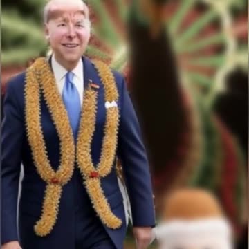 Happy Thanksgiving! A Special Whitehouse Turkey Lighting Ceremony.