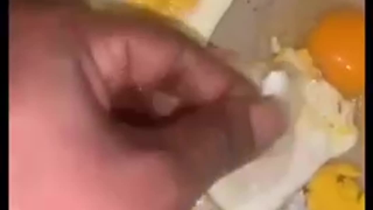 Eggs are made of plastic !!?? Be careful guys!!!