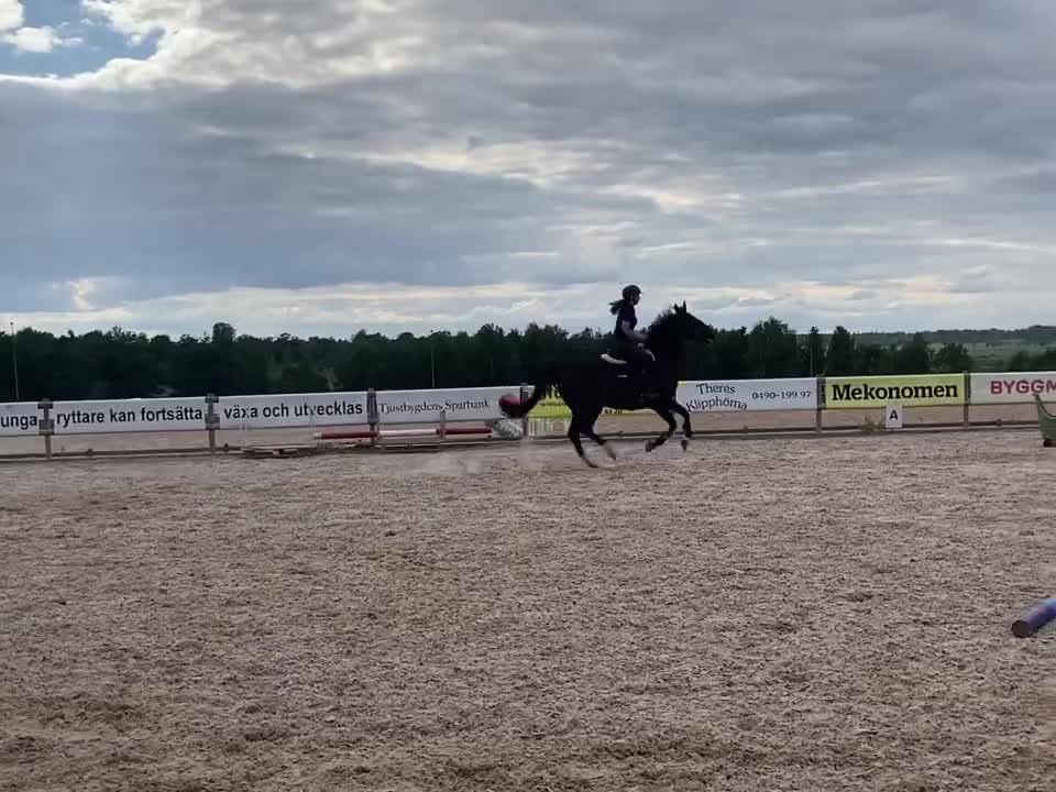 Bela