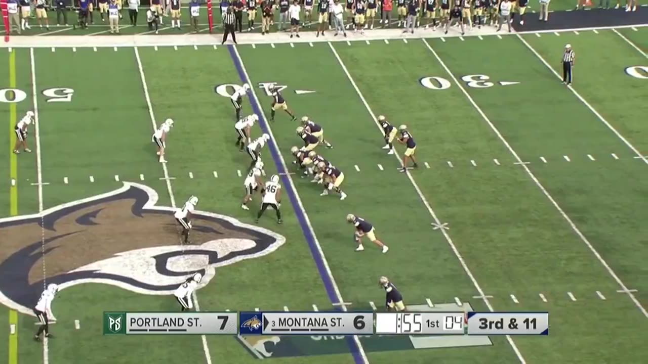 Montana State vs Portland State Highlights | College Football Week 5 | 2023 College Football