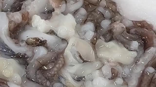 Reminder that this food is not weird or gross. It’s another culture’s food that you’re not used to