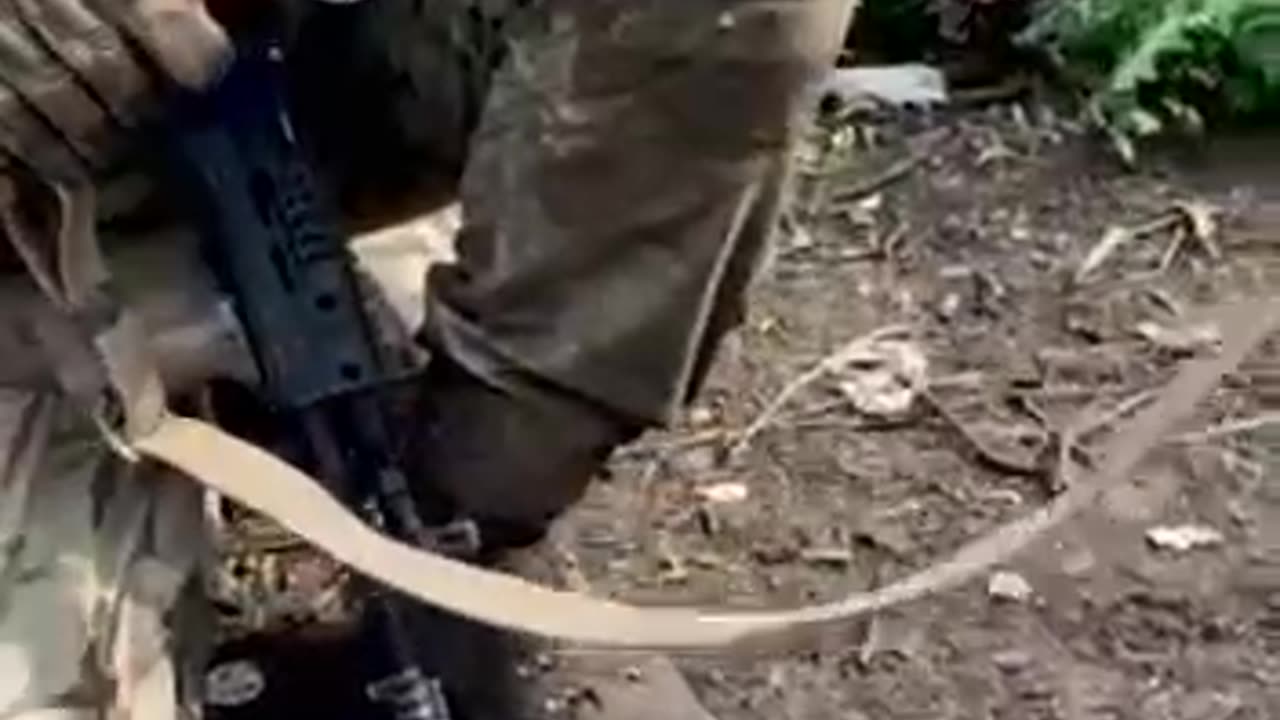 +18 Disturbing Video showing dead and wounded