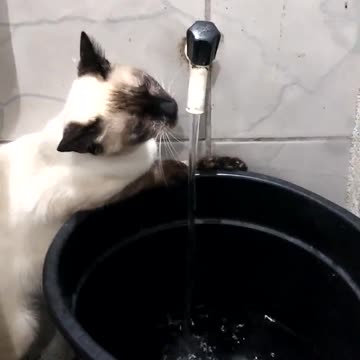 Oh, thirsty, I'm going to drink straight into my mouth, I don't even want to know.