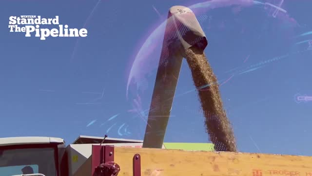 The Pipeline - December 21st 2022