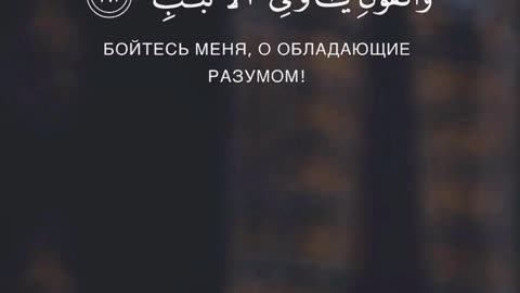 Beautiful Quran Recitation With Russian Translation