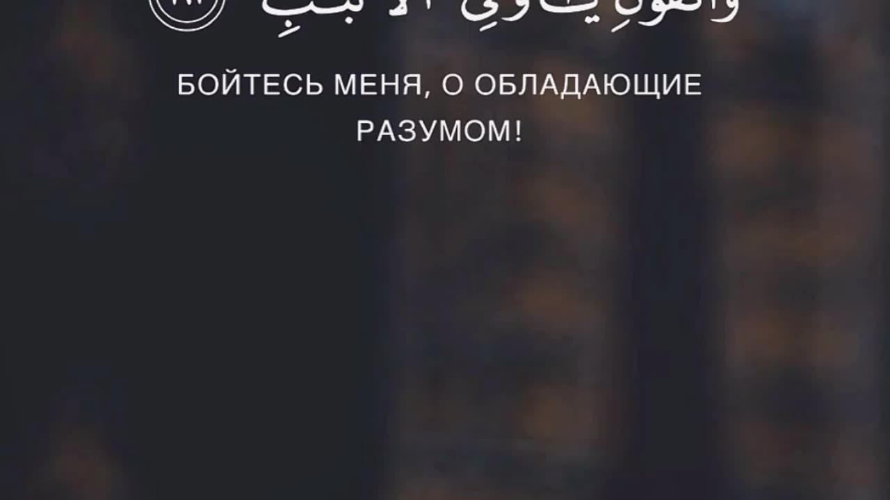 Beautiful Quran Recitation With Russian Translation