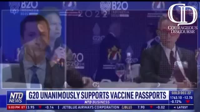 G20 Digital Health Passports: Dr. McCullough Comments on NTD News