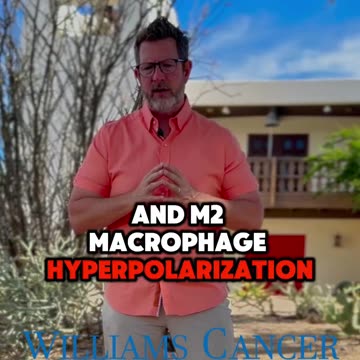 Understanding the Complex Impact of Chemotherapy on Metastasis! Back by Popular Demand!