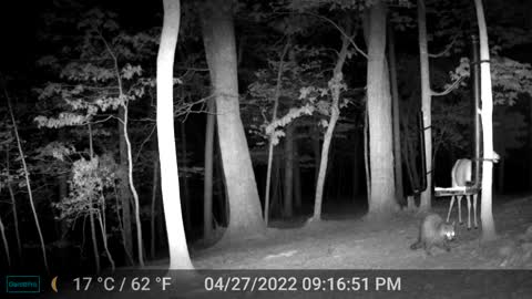 The Woods - 04/28/2022