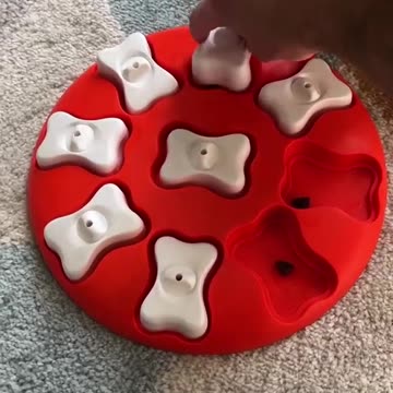 This bone puzzle from Outward Hound