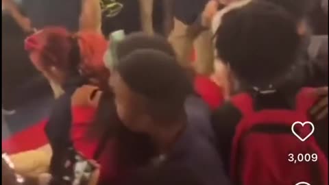 Massive High School Brawl