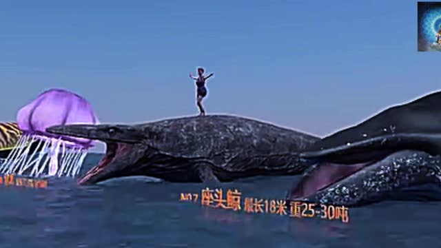 15 biggest creatures in the sea