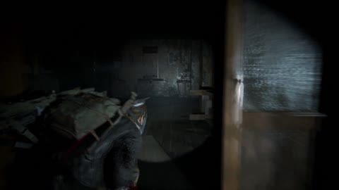 last of us 2 part 5