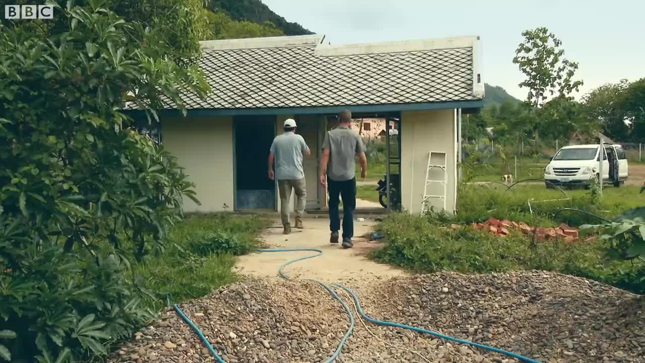 Orphan Moon Bears Stolen From Sanctuary | Bears About The House | BBC Earth