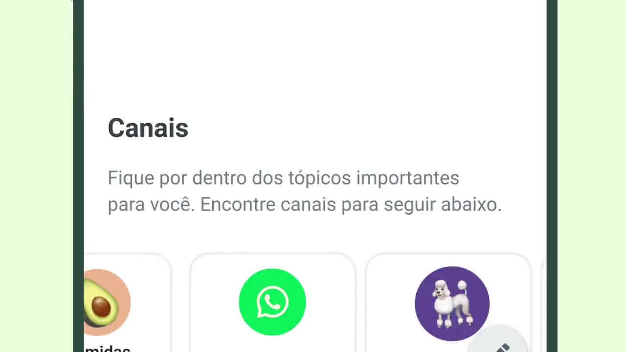 Novidade: conheça os Canais do WhatsApp