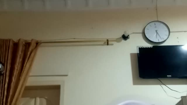 Cute cat videos