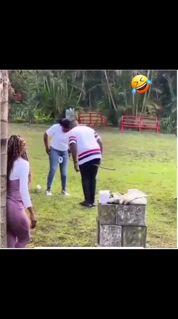 Funny video 📷 you can't Stop laughing 🤣🤣😂