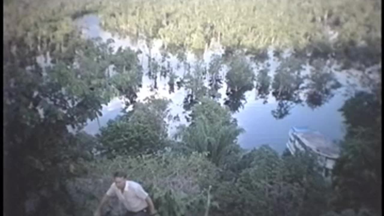 Desmatamento Tropical e Fragmentação Habitat na Amazônia.