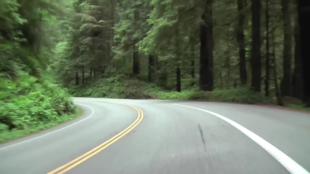 Daniel Staniforth - Driving in Redwood National Park (2009)