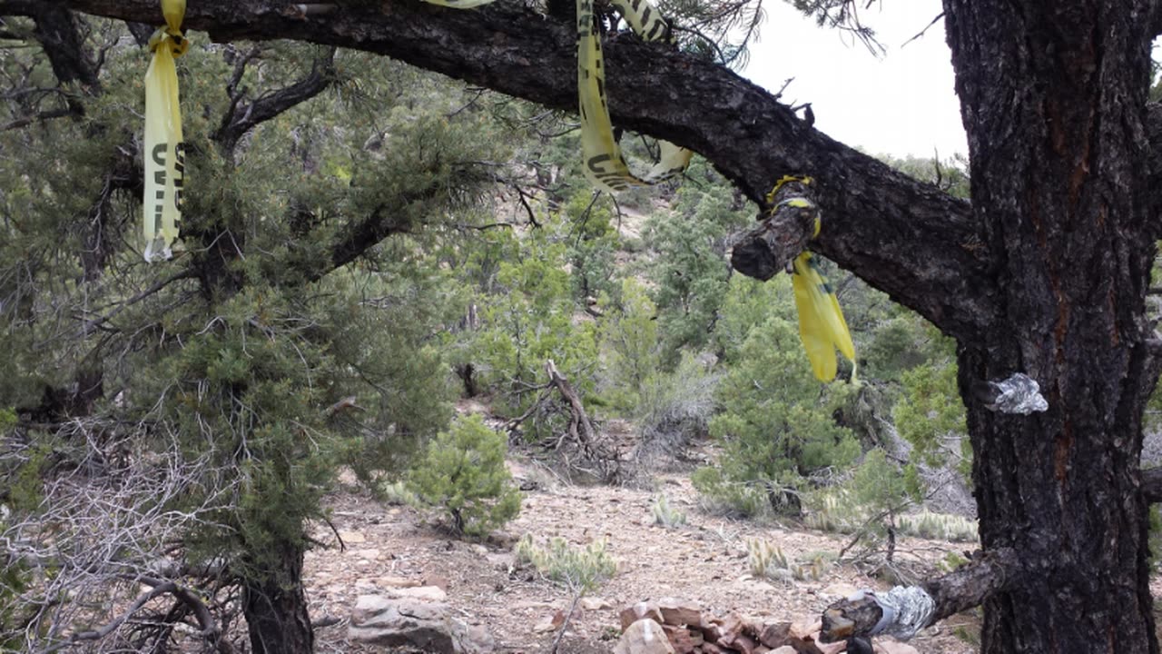 AREA 51 TIKABOO PEAK LIVESTREAM