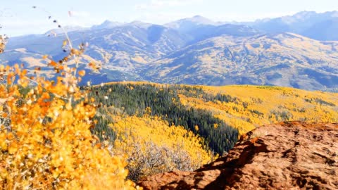 Magnificent Mountains, Forests