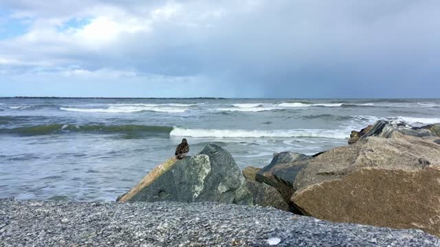 North Atlantic Ocean | God created
