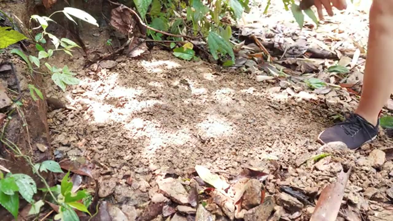 Girl builds a shack in the wild to survive alone | nature sounds