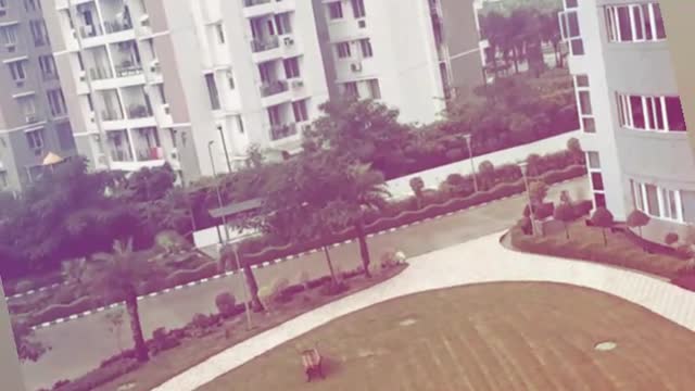 Rain fall