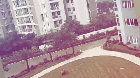 Rain fall