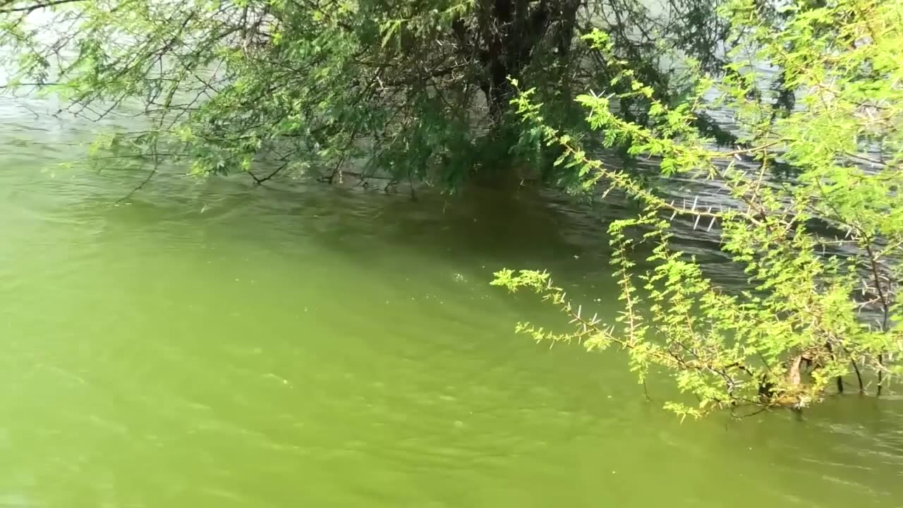 Best float fishing single hook fishing