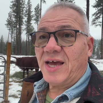 Good Morning from McKenzie Mountain 11-26-24