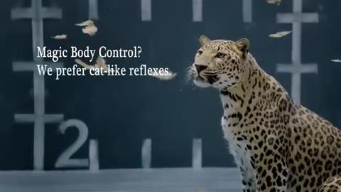 Jaguar makes fun of German luxury car Brands Audi Mercedes and BMW