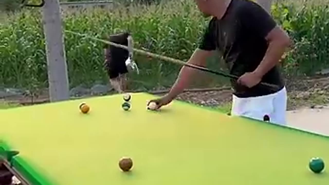 FUNNY VEDIO BILLIARDS