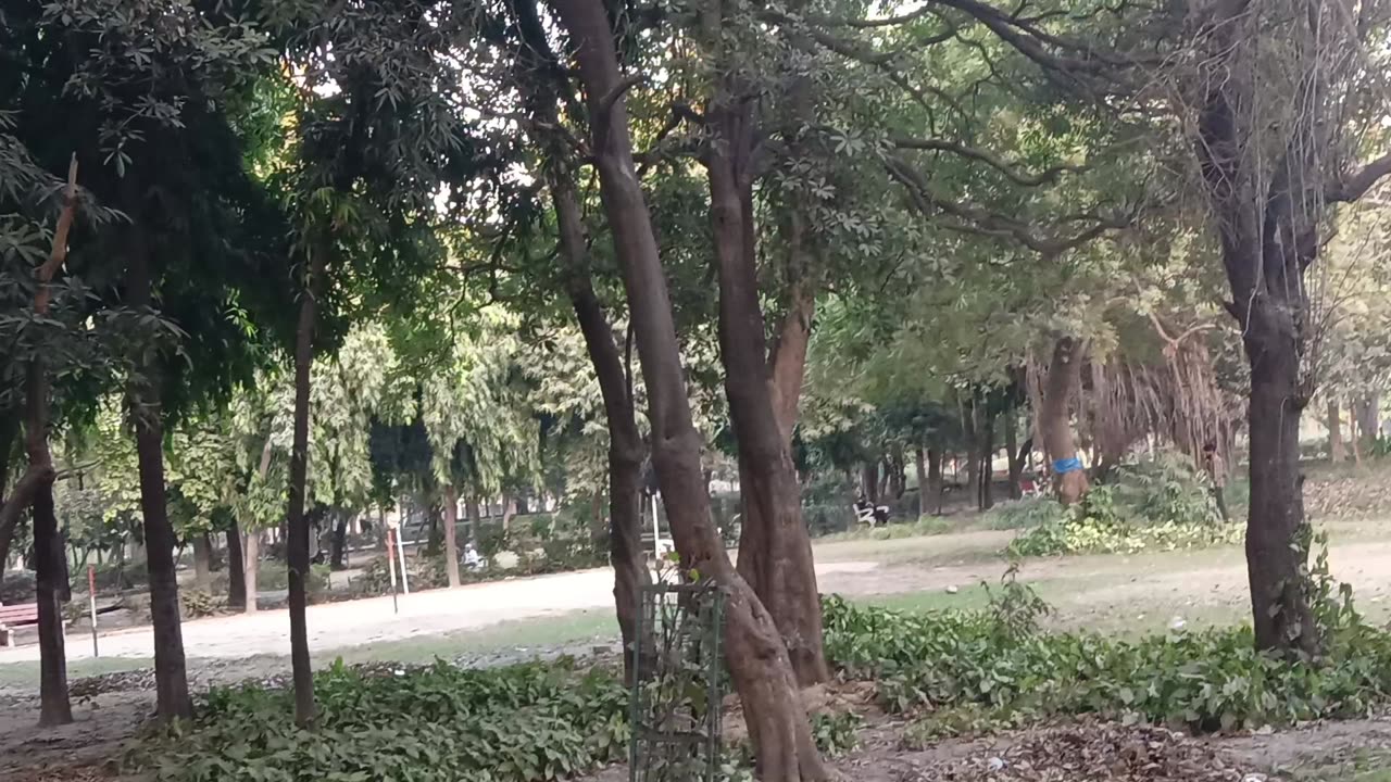 Park