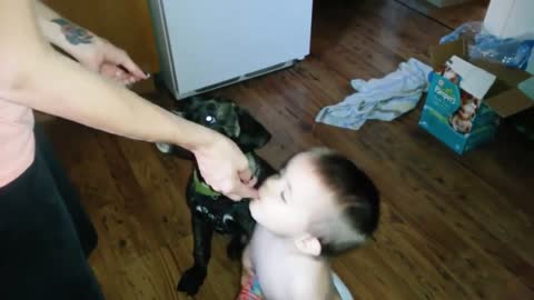 Child and Dog Sharing Food