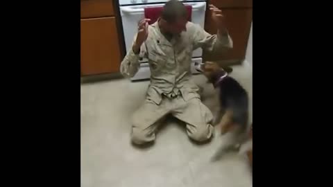 Animals Reunited With Owners AFTER YEARS!