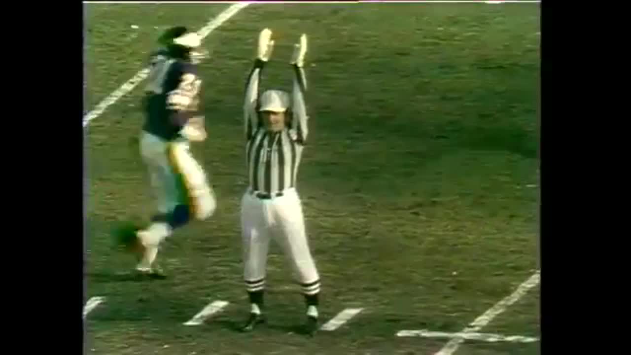 1969 Minnesota Vikings