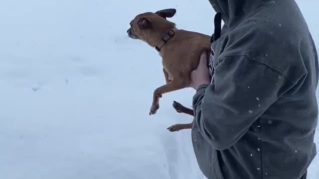 Measuring Snow Depth with Little Dog