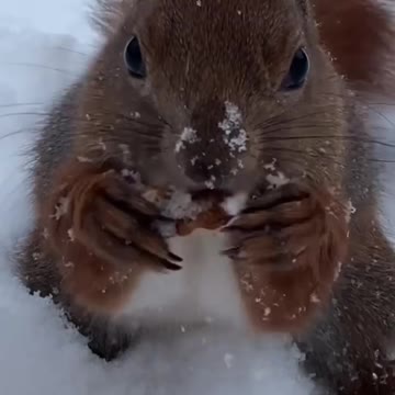 Winter in the park!!!