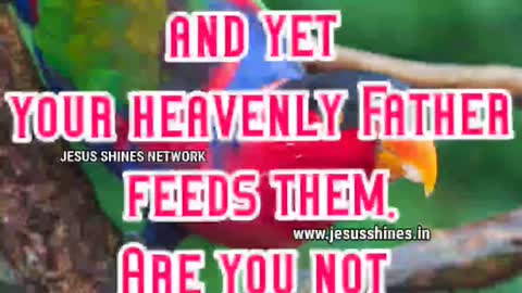 (English September 2022) Words of Jesus Christ gives Life September 2022 from #jesusshinesnetwork