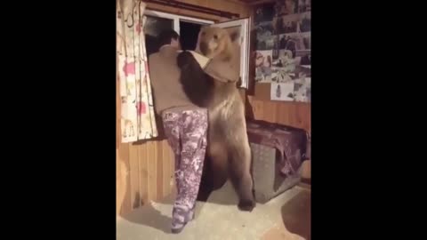 Russians & Dangerous Animals Compilation