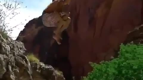 One jump solves a thousand worries