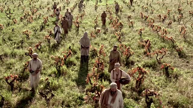 The Parable of The Laborers In The Vineyard