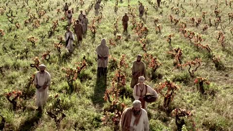 The Parable of The Laborers In The Vineyard