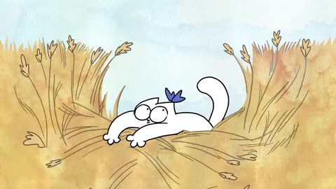 Funny animals